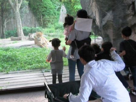 仙台市】夜の動物園ドキドキワクワクのナイトズージアム2022の